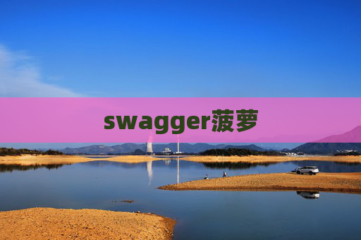 swagger菠萝 swagger菠萝